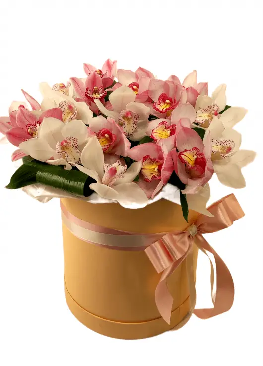 Orchids mix in a hat box Orchids mix in a hat box