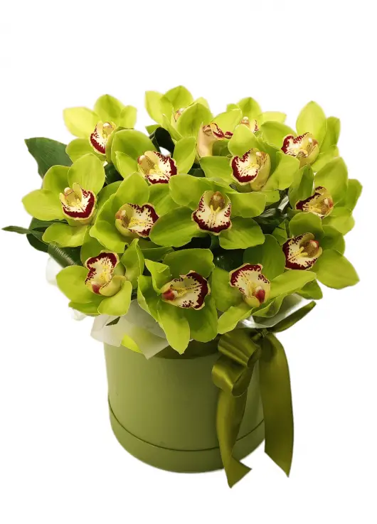 Orchids mix in a hat box Orchids mix in a hat box