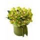 Orchids mix in a hat box Orchids mix in a hat box