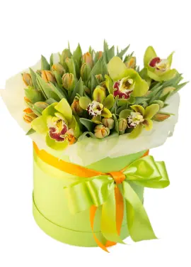 Tulips in a hat box