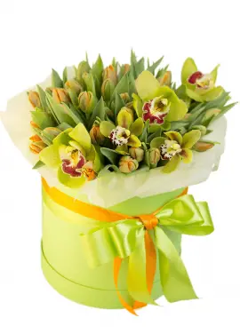Tulips in a hat box