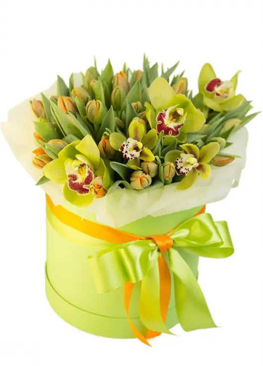Tulips in a hat box