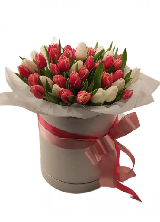 Mix Tulip in a hat box