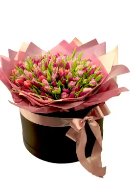 151 tulips in a box