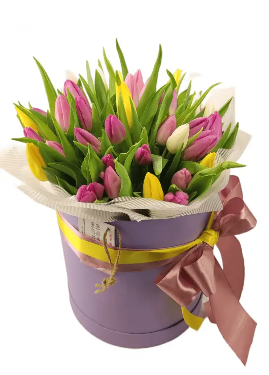 Mix Tulip in a hat box