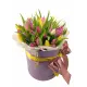 Mix Tulip in a hat box