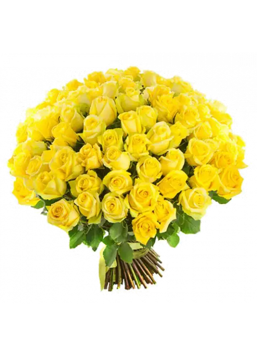 101 yellow roses