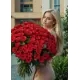101 red roses 101 red roses