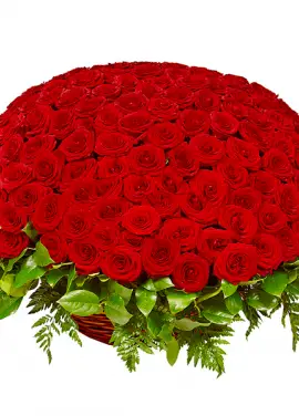 201 red roses