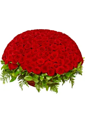 201 red roses