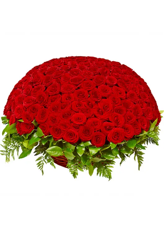 201 red roses