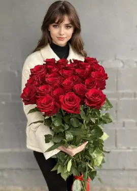 25 Holland roses