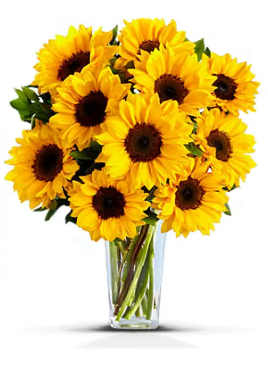 Sunflowers bouquette Sunflowers bouquette