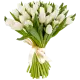 Bouquet of 25 white tulips (imported, Netherlands)