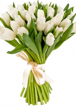 Bouquet white tulips