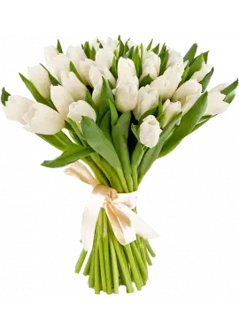 Bouquet white tulips