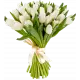 Bouquet white tulips