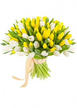 51 multicolored tulips