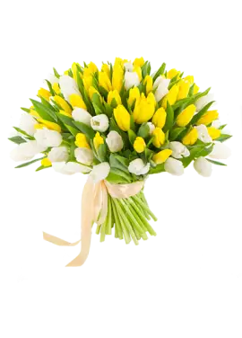 51 multicolored tulips